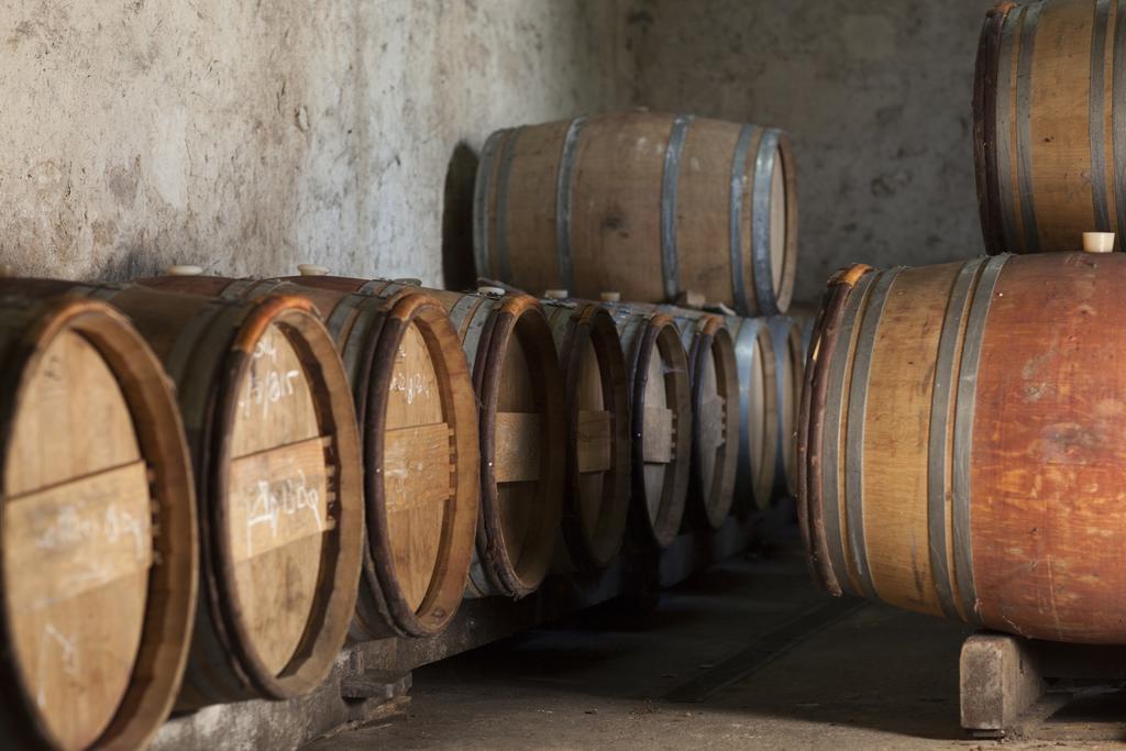 Clos Vieux Rochers Vineyard Puisseguin Exteriör bild