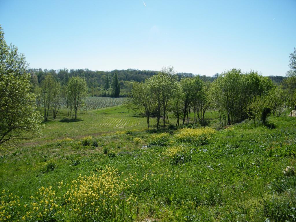 Clos Vieux Rochers Vineyard Puisseguin Exteriör bild