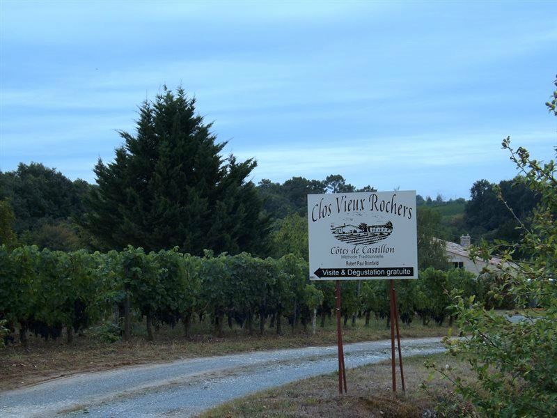 Clos Vieux Rochers Vineyard Puisseguin Exteriör bild