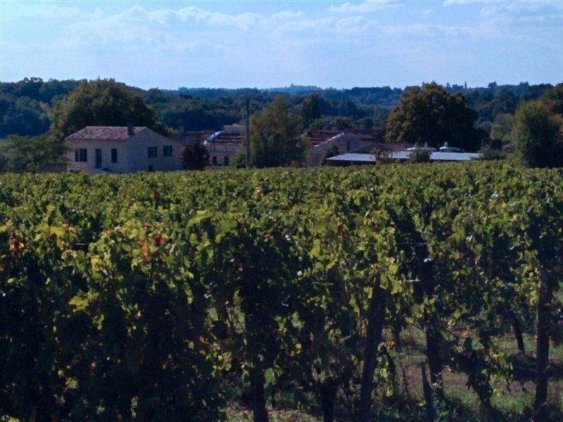 Clos Vieux Rochers Vineyard Puisseguin Exteriör bild