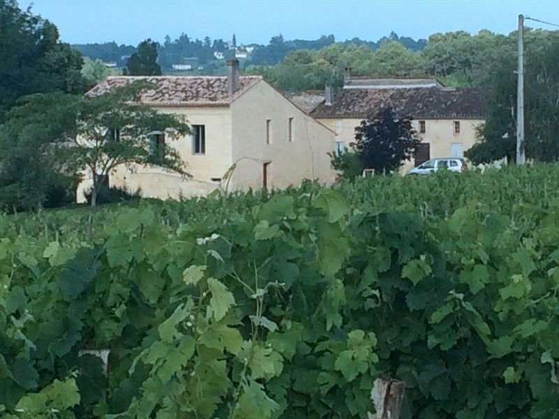Clos Vieux Rochers Vineyard Puisseguin Exteriör bild